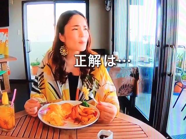 メディア紹介